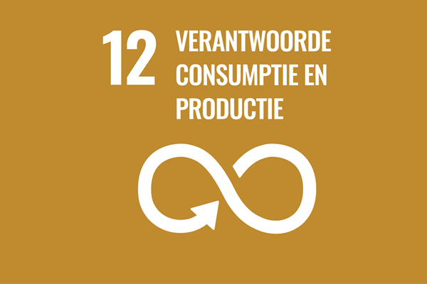 SDG 12