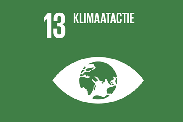 SDG 13