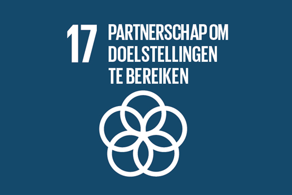 SDG 17