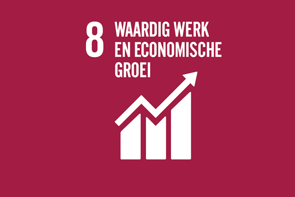 SDG 8