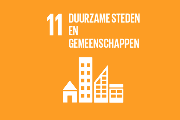 SDG 11